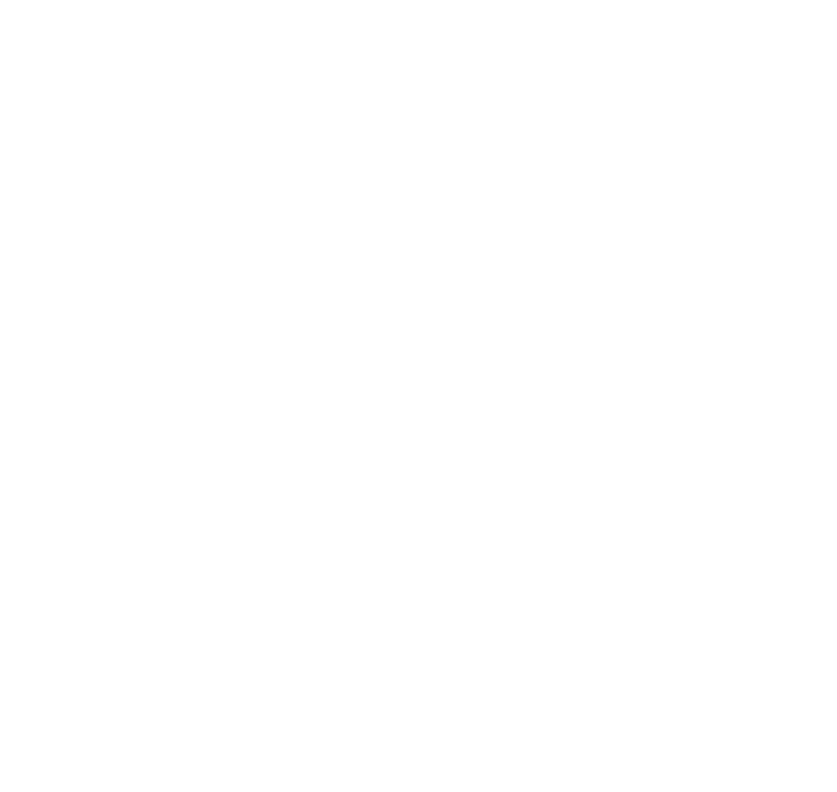 FN ® America Logo