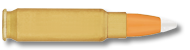 ammunition-SB193-Subsonic-Round