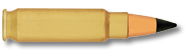 ammunition-SS190-Duty-Round