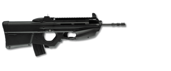 FS2000
